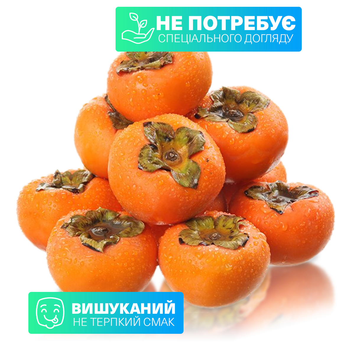 Заголовок