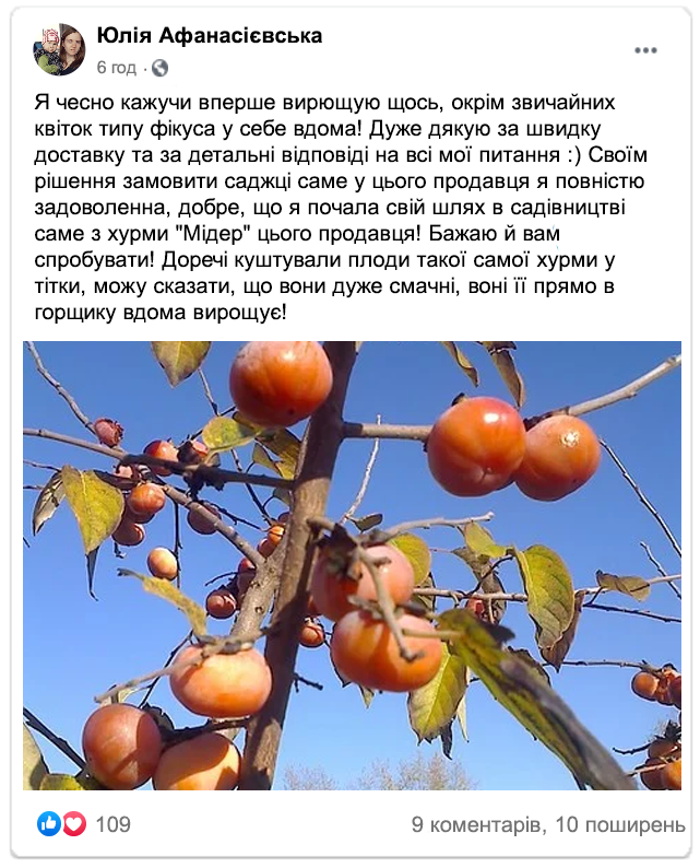 Заголовок