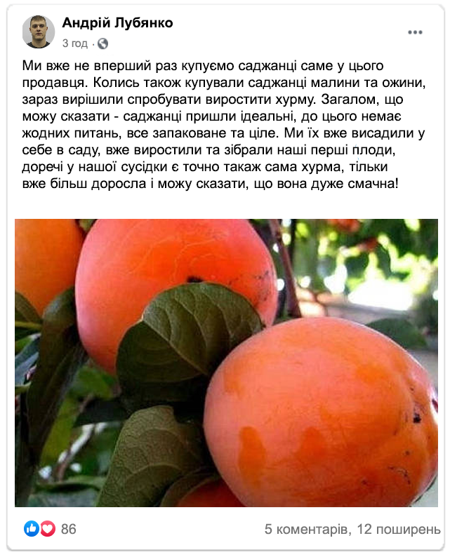 Заголовок