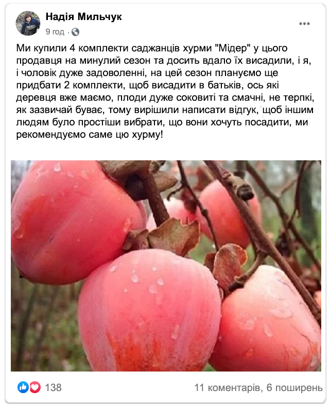 Заголовок