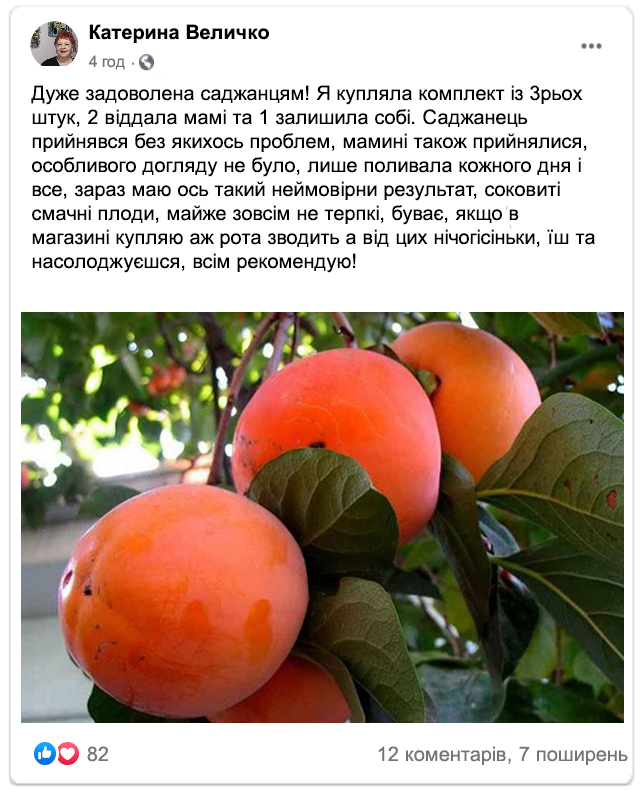 Заголовок