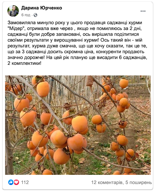 Заголовок