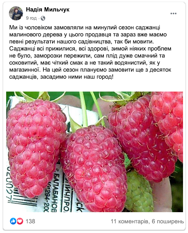 Заголовок