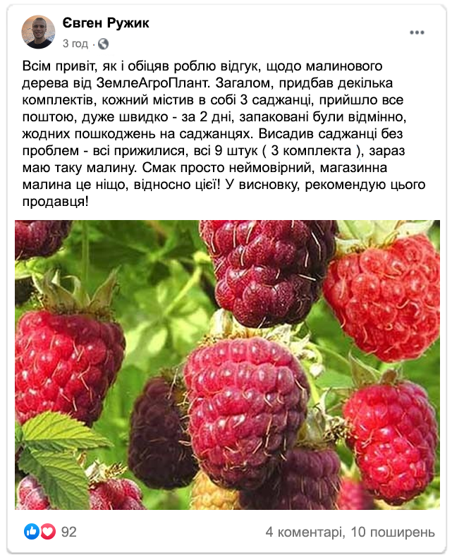 Заголовок