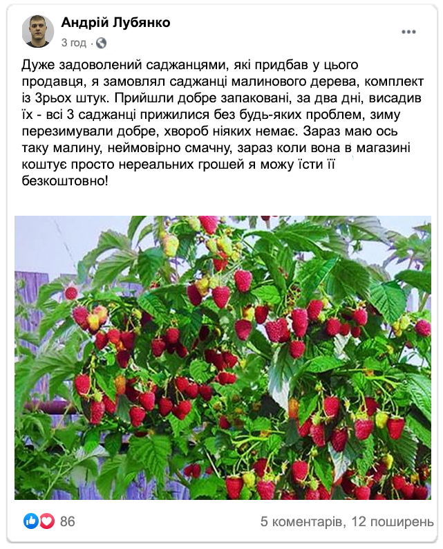 Заголовок