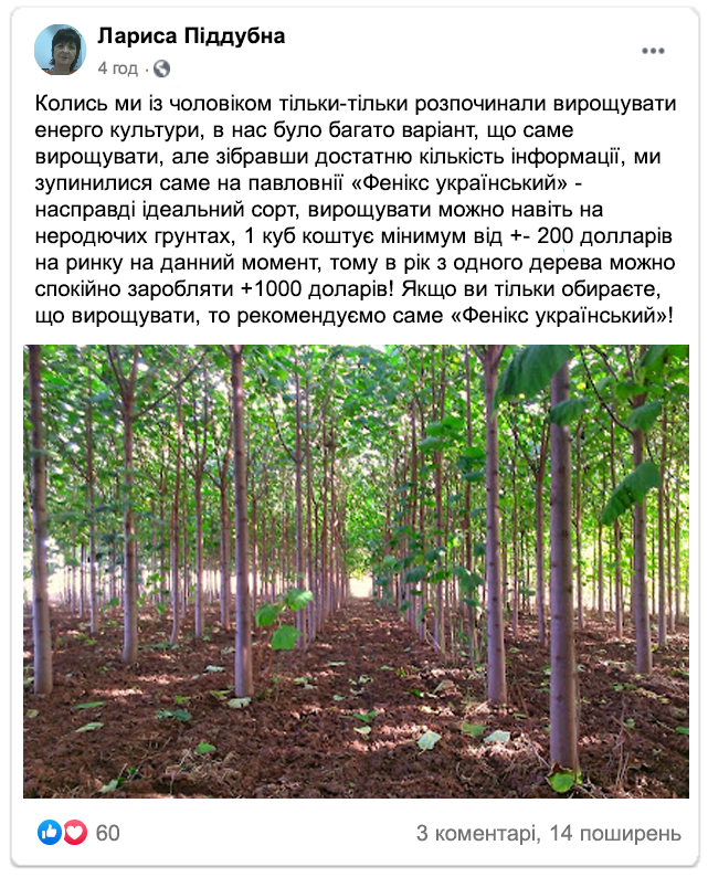 Заголовок