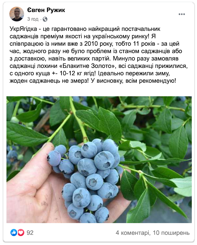 Заголовок