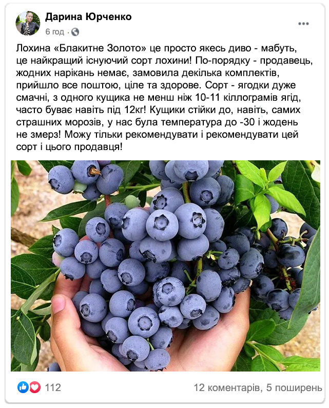 Заголовок