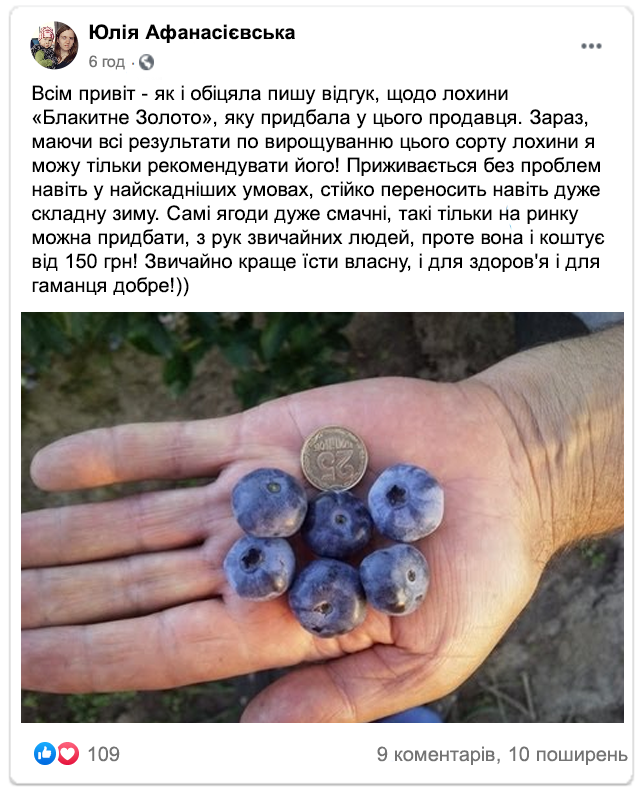 Заголовок