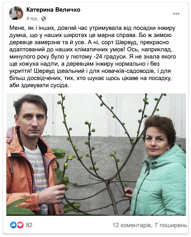 Заголовок