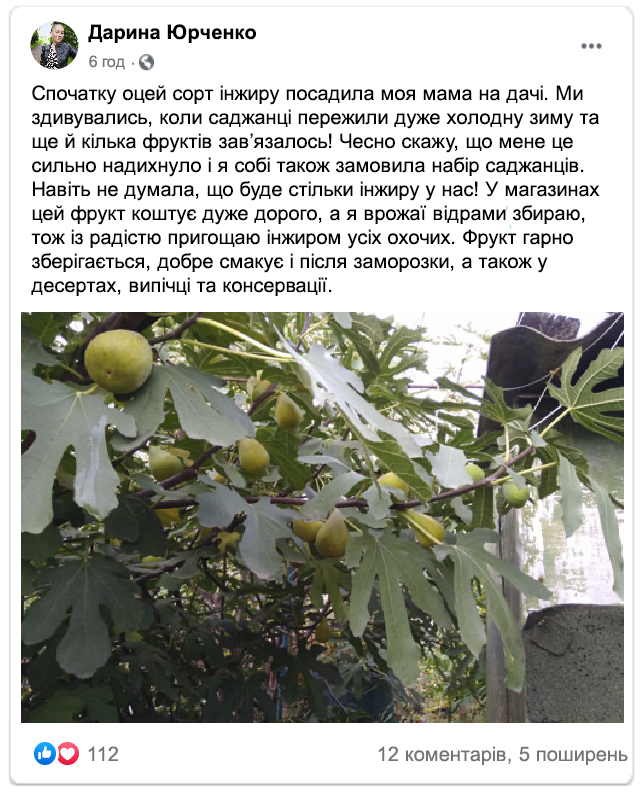 Заголовок