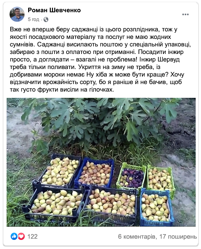 Заголовок