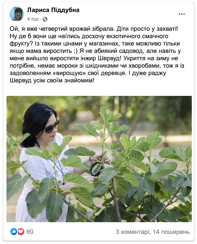 Заголовок