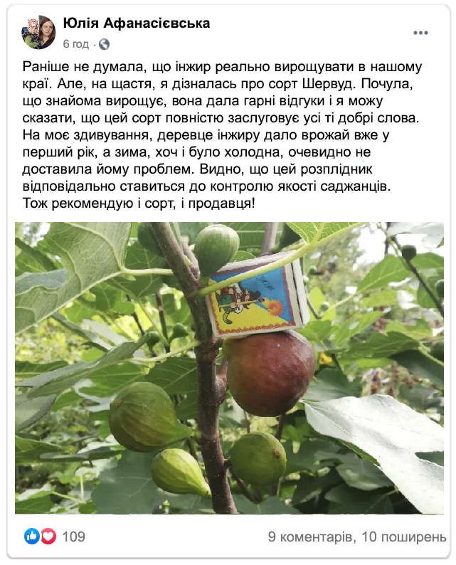 Заголовок