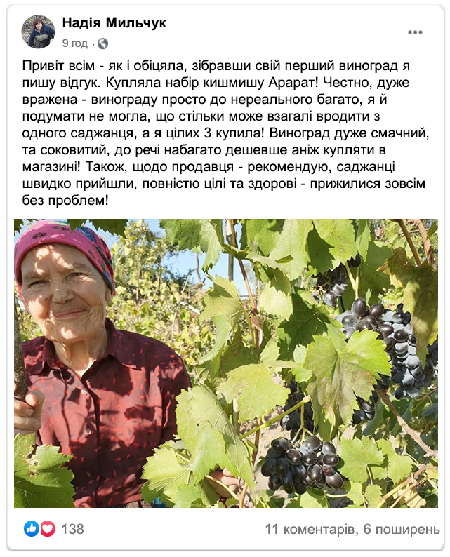 Заголовок
