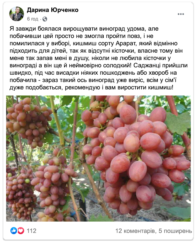 Заголовок