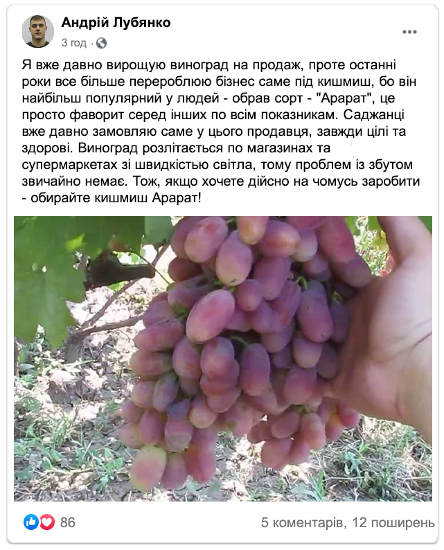 Заголовок