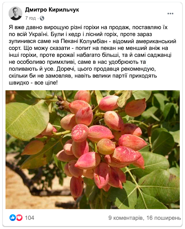 Заголовок