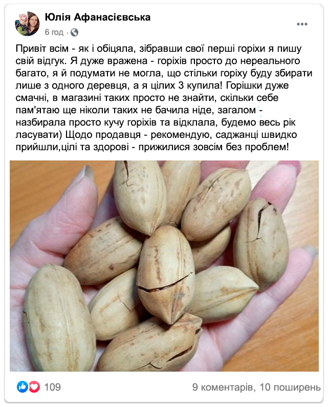 Заголовок