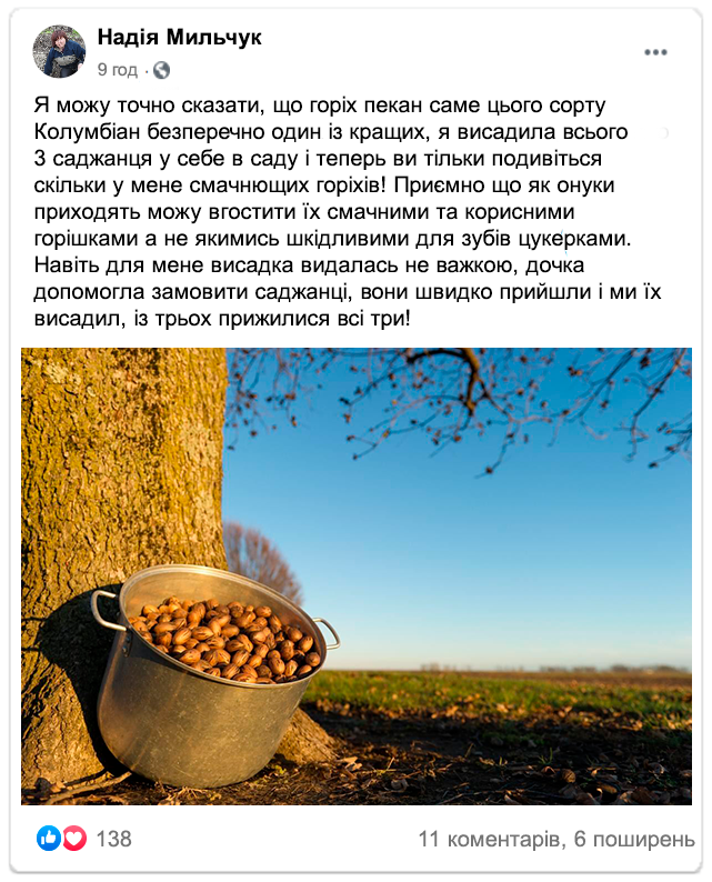 Заголовок
