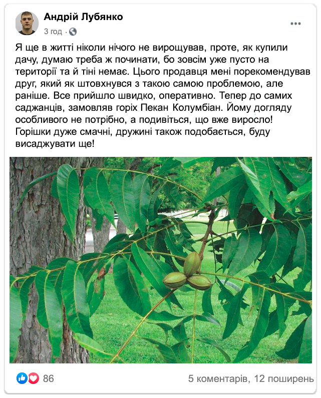 Заголовок