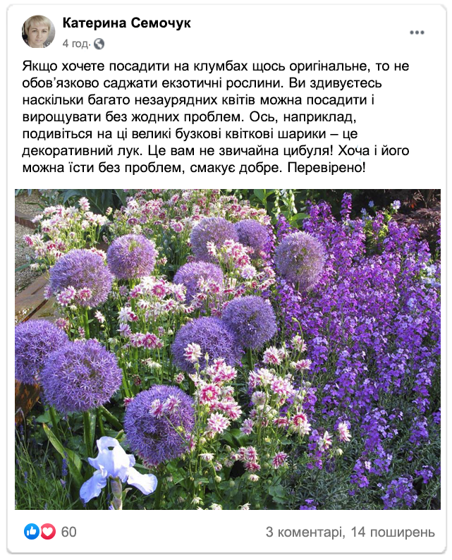 Заголовок