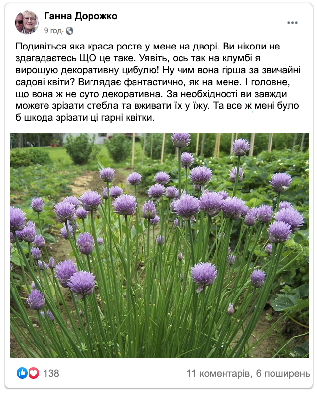 Заголовок