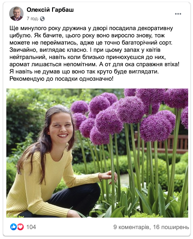 Заголовок