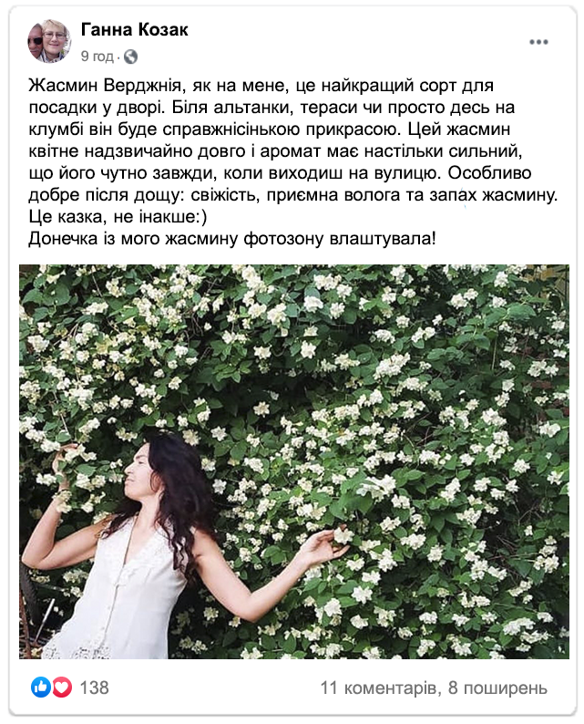 Заголовок