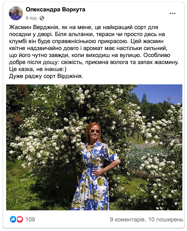 Заголовок