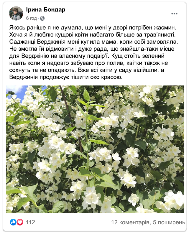 Заголовок