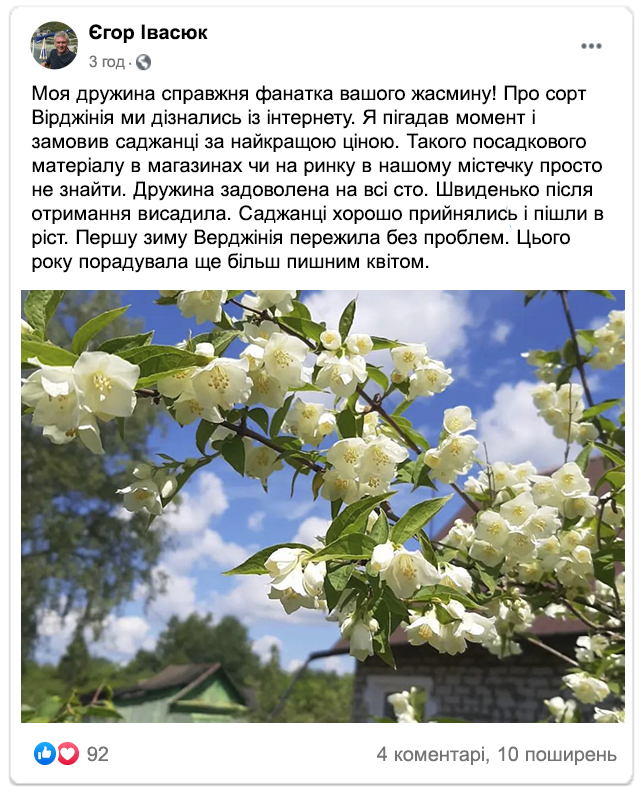 Заголовок