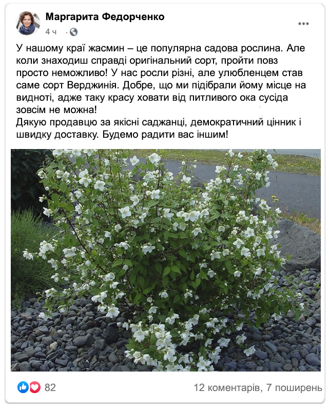 Заголовок