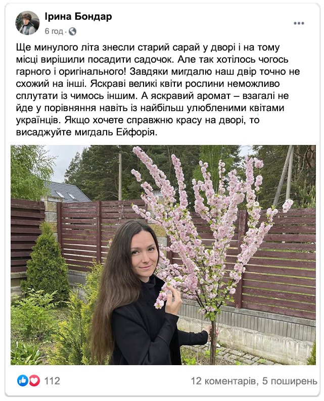Заголовок