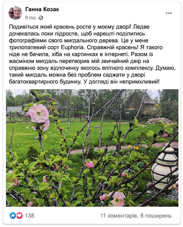 Заголовок