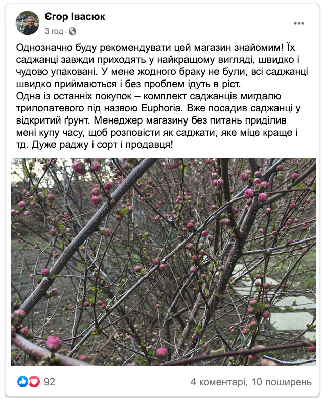 Заголовок