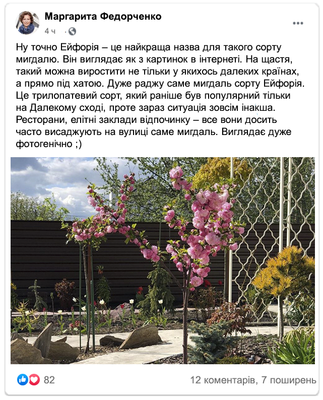 Заголовок