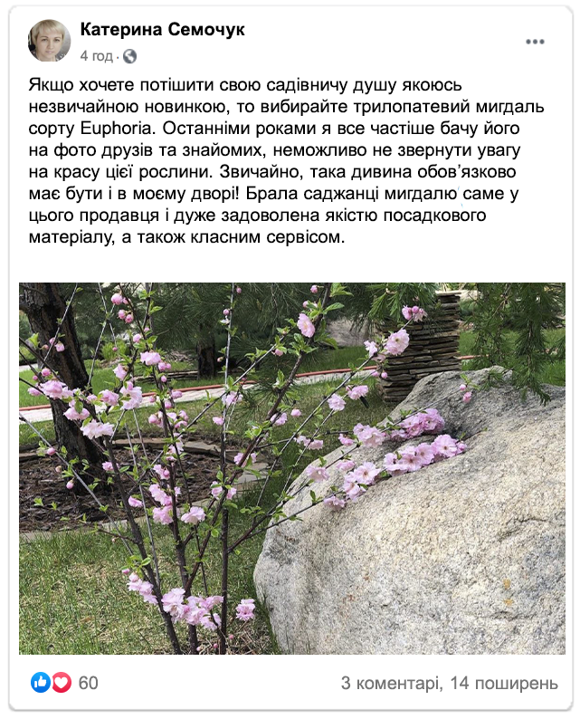 Заголовок