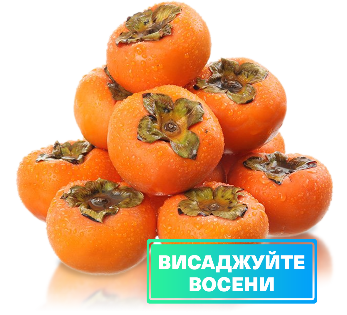 Заголовок