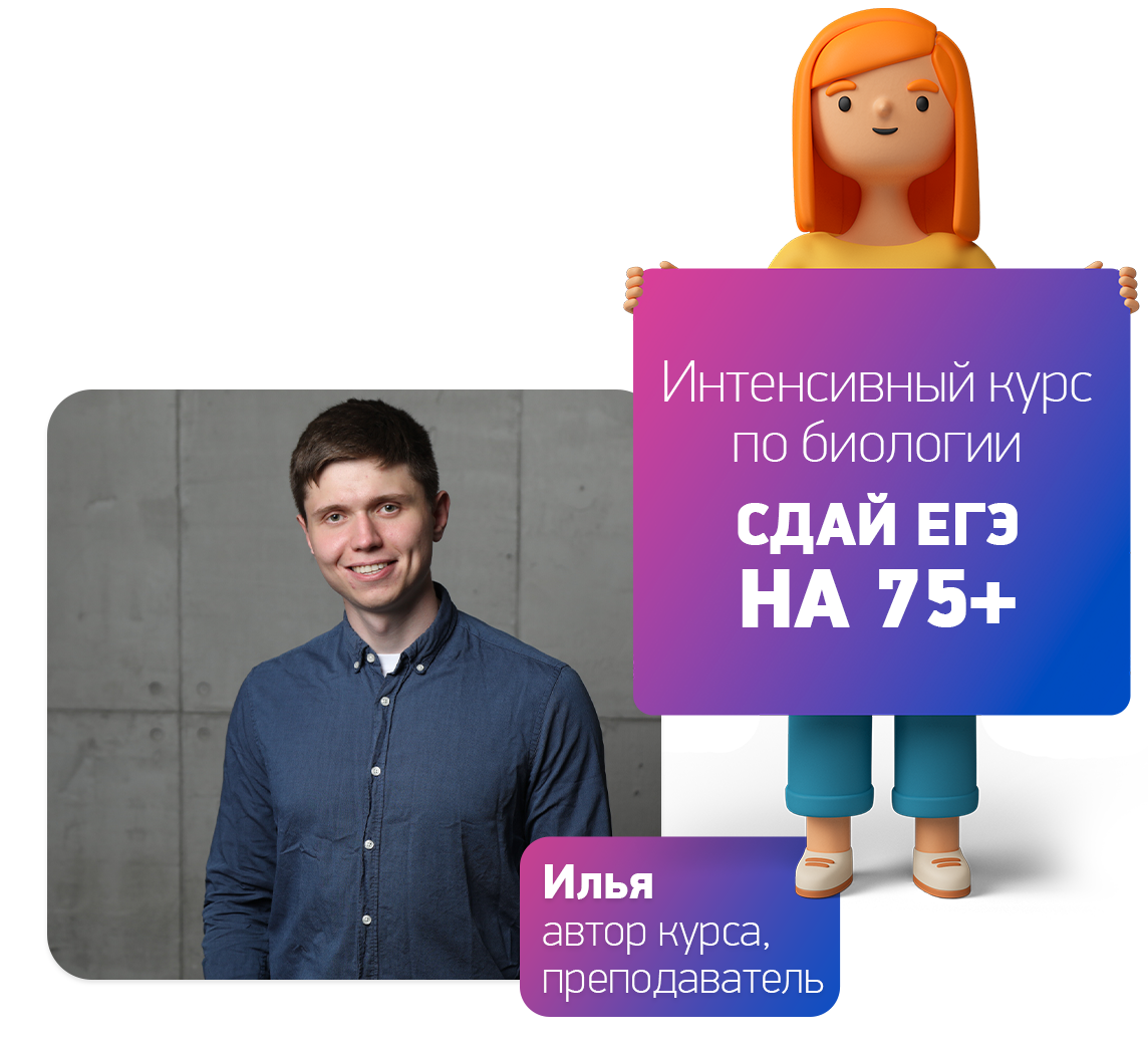 Заголовок