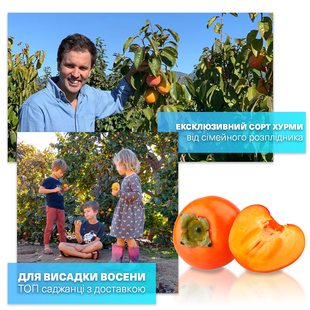 Заголовок