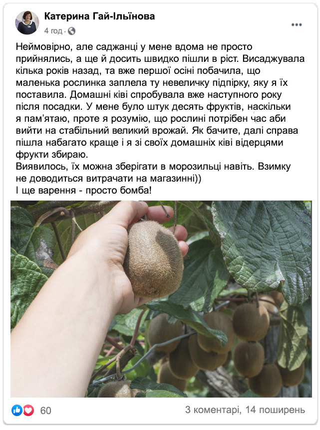 Заголовок