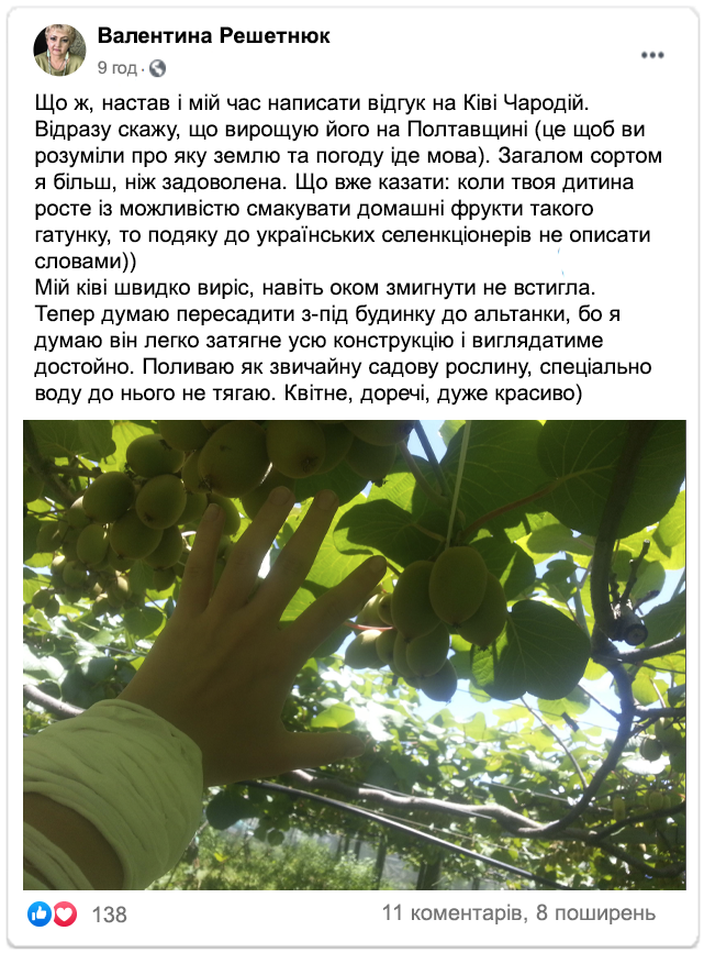 Заголовок