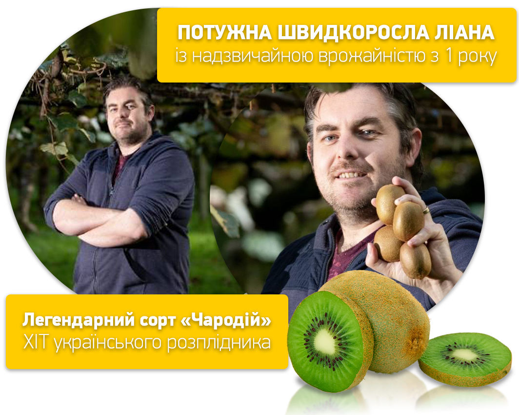 Заголовок