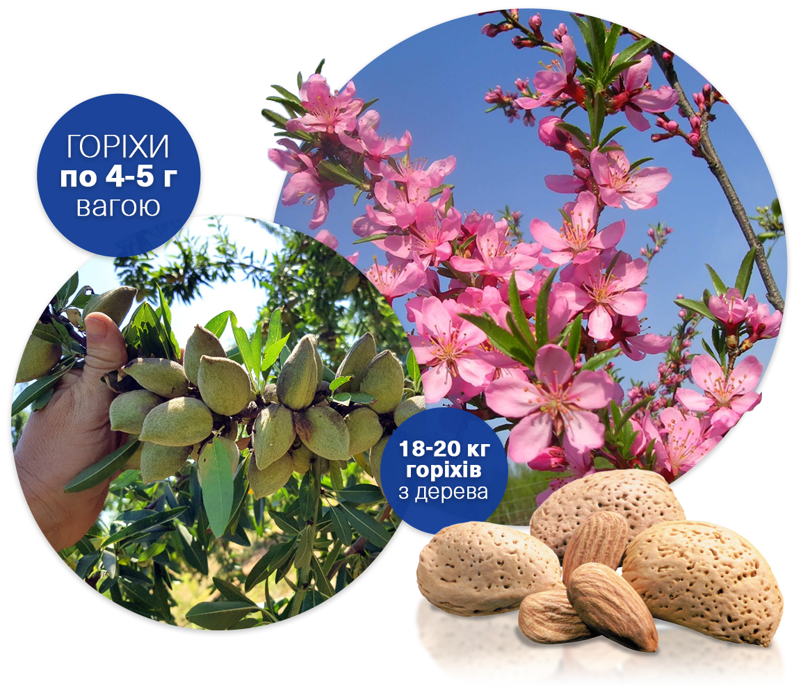 Заголовок