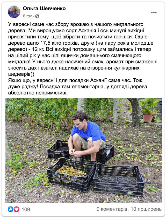 Заголовок
