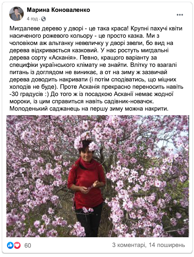 Заголовок