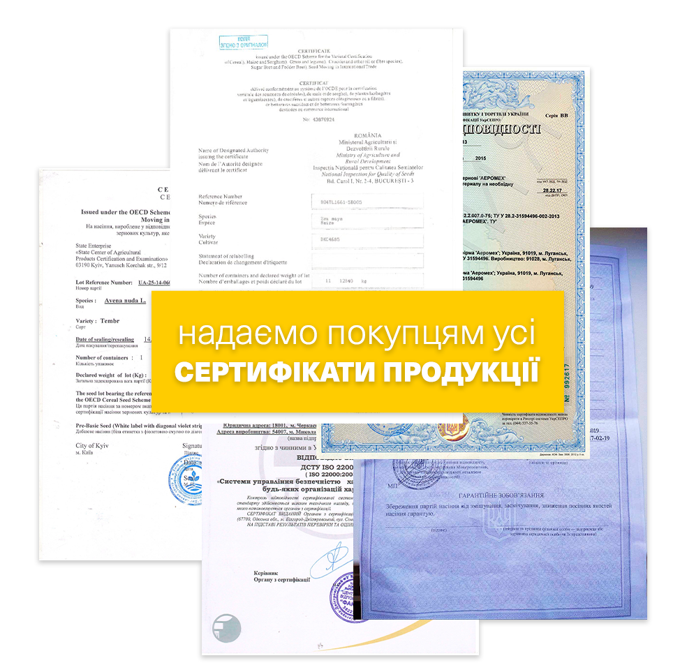 Заголовок