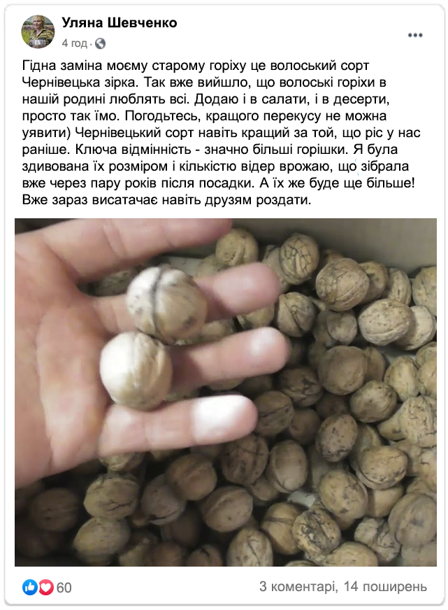 Заголовок