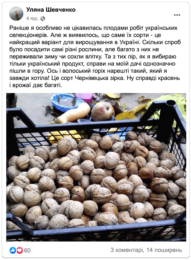 Заголовок